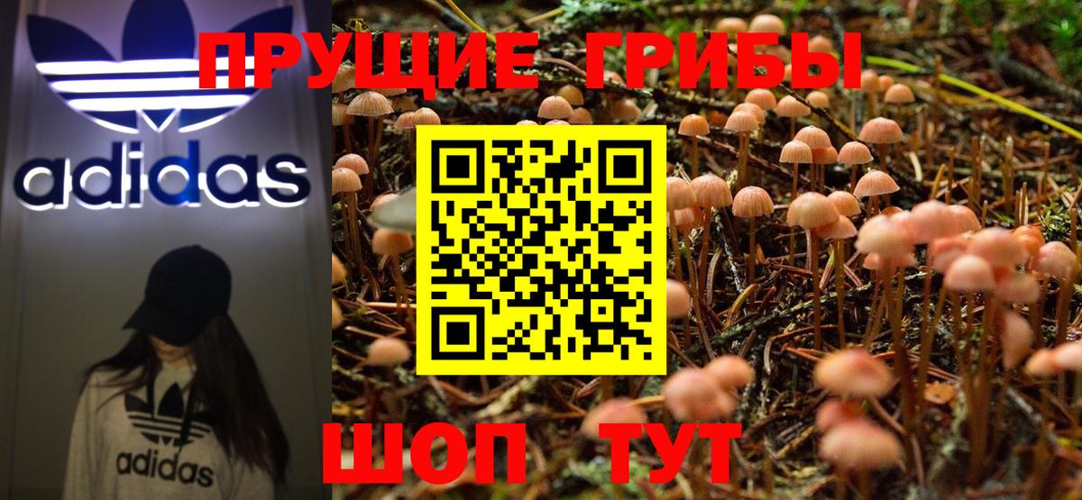 Галлюциногенные грибы MAGIC MUSHROOMS  Галлюциногенные грибы Cubensis  Вход с VPN  Рязань 